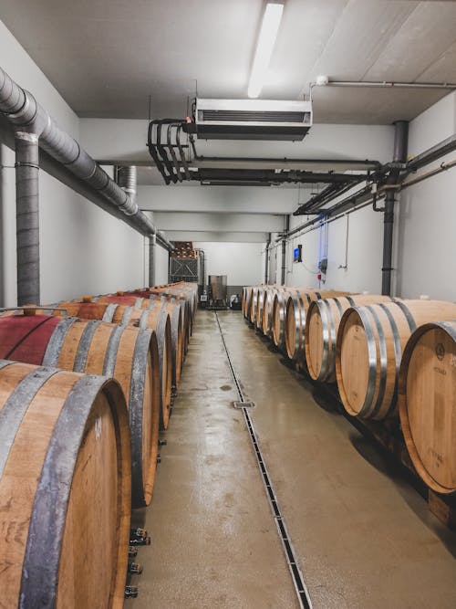 Wooden Barrels Inside the Warehouse