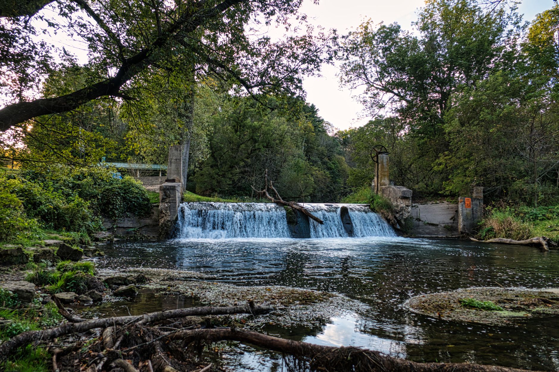 Petrifying Springs Park