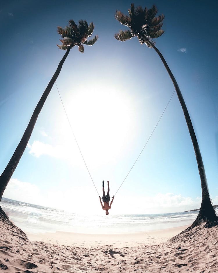 A Man Swinging In Between Coconut Trees