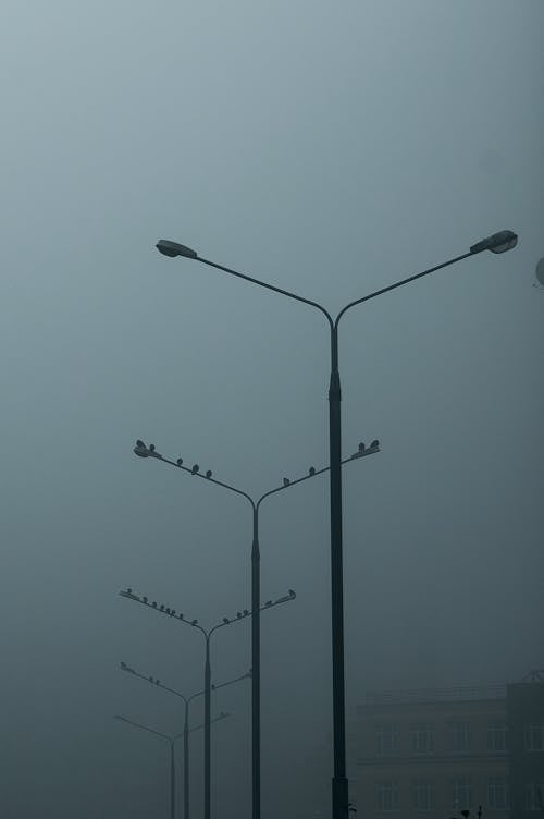 Free Street Lamps on a Foggy Day Stock Photo
