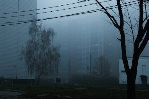 Immagine gratuita di edifici, nebbia, nebbioso