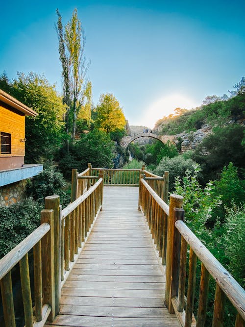 Imagine de stoc gratuită din codru, nor pădure, pădure tropicală