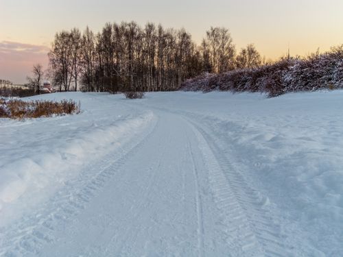 Free Serene snowy road winding through a forest at twilight, capturing the tranquility of winter. Stock Photo
