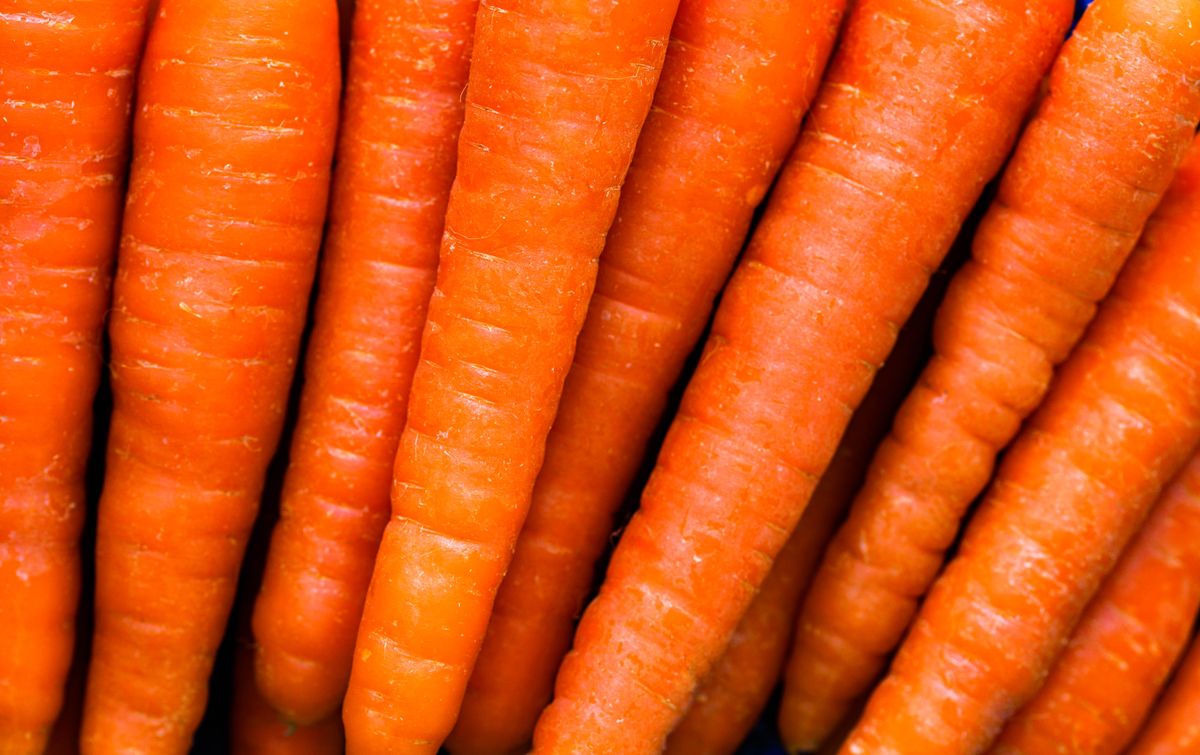 Fresh carrots
