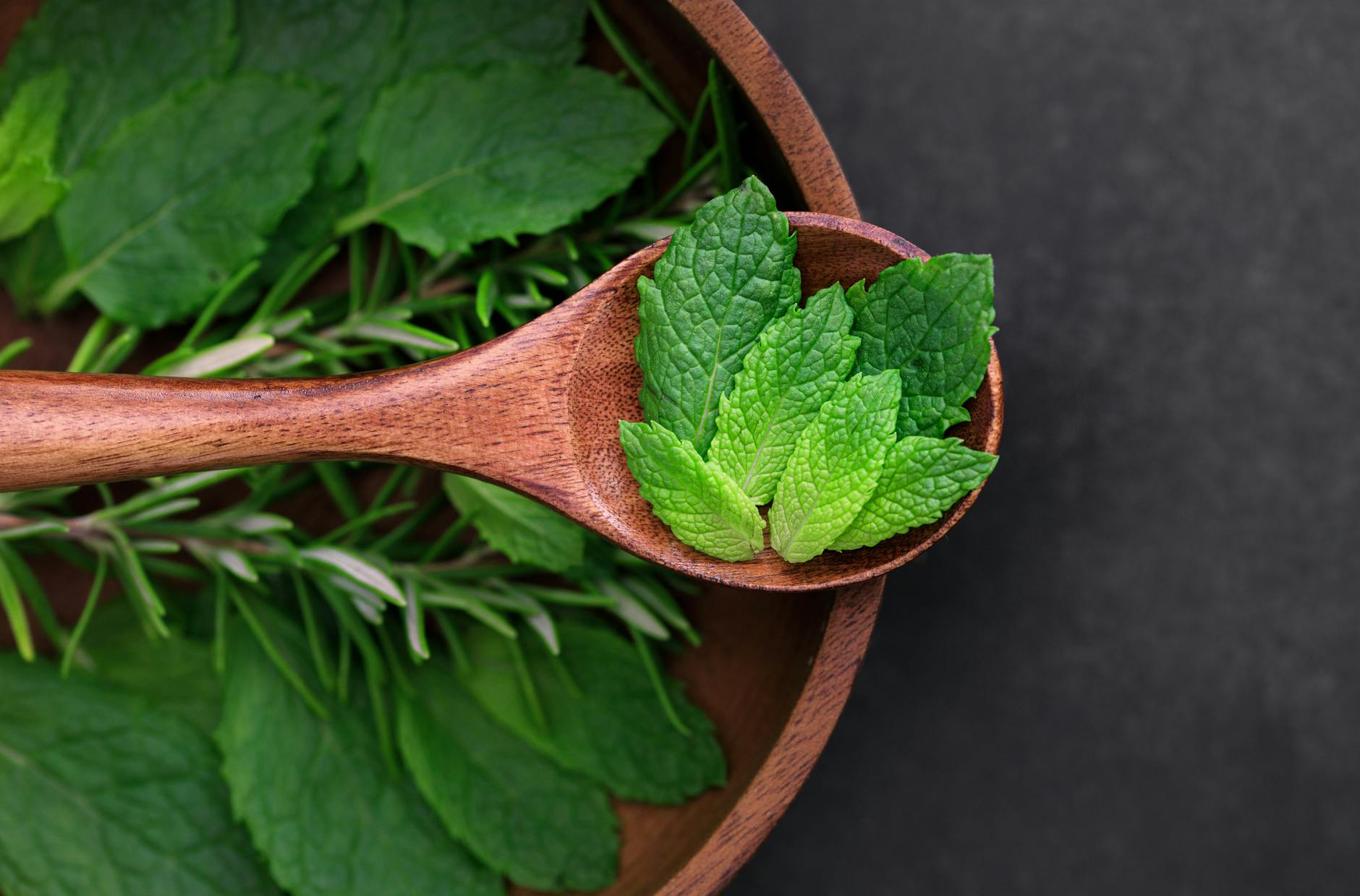 Fresh Mint Bouquet In A Vase With Chocolate Mint Or Peppermint Leaves