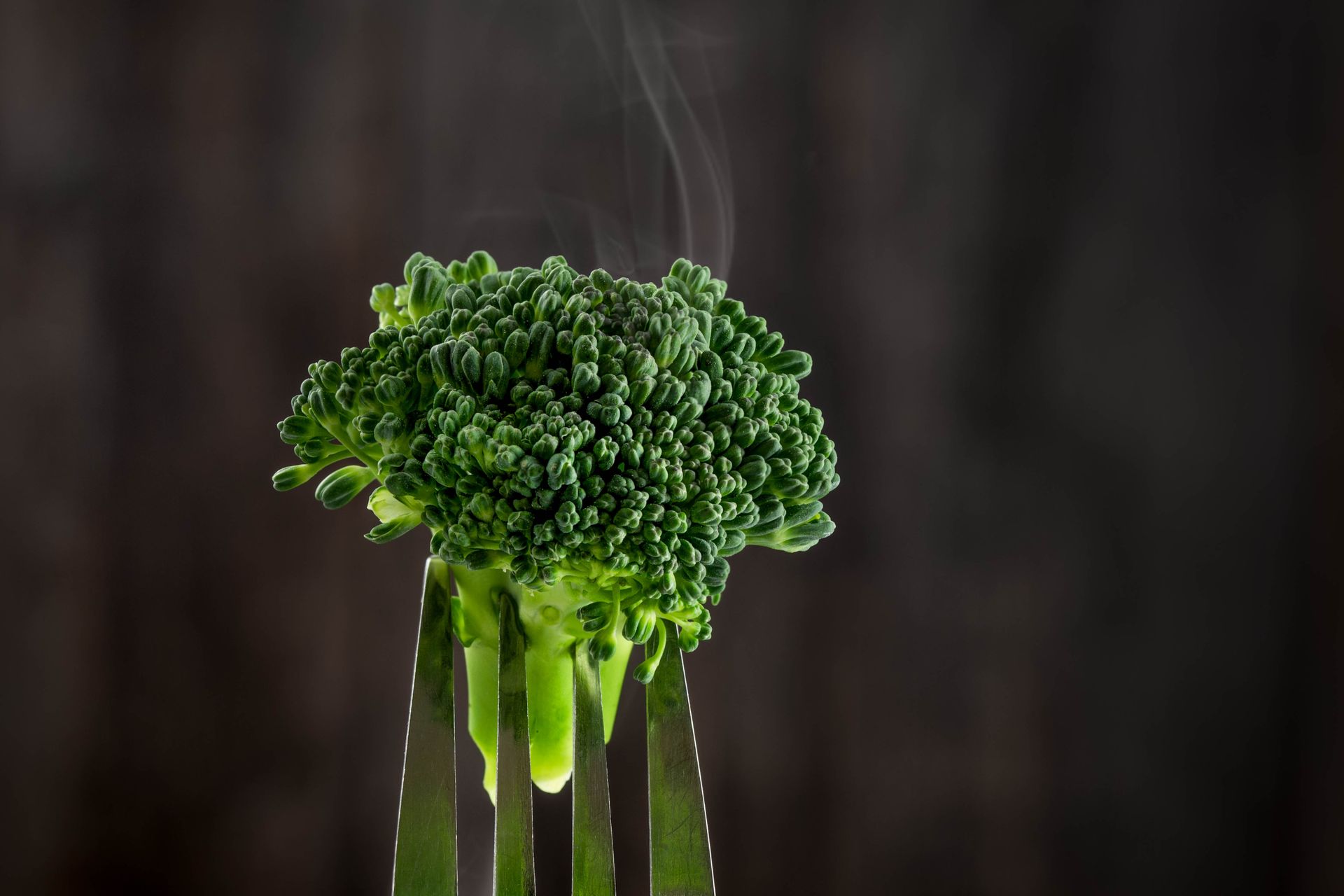 Close-up shot of steaming broccoli on a fork, highlighting fresh green texture.
