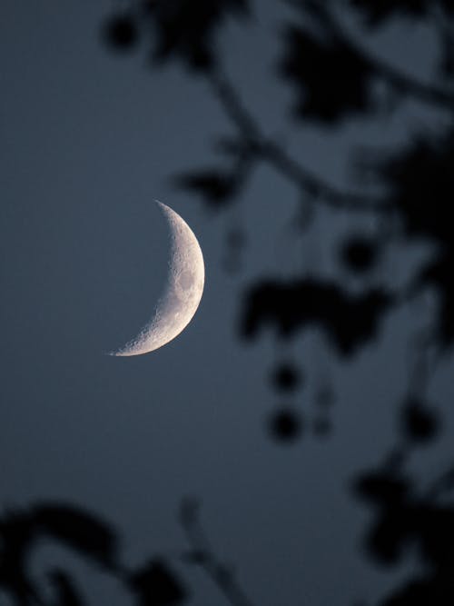 Free Half Moon in the Dark Sky Stock Photo