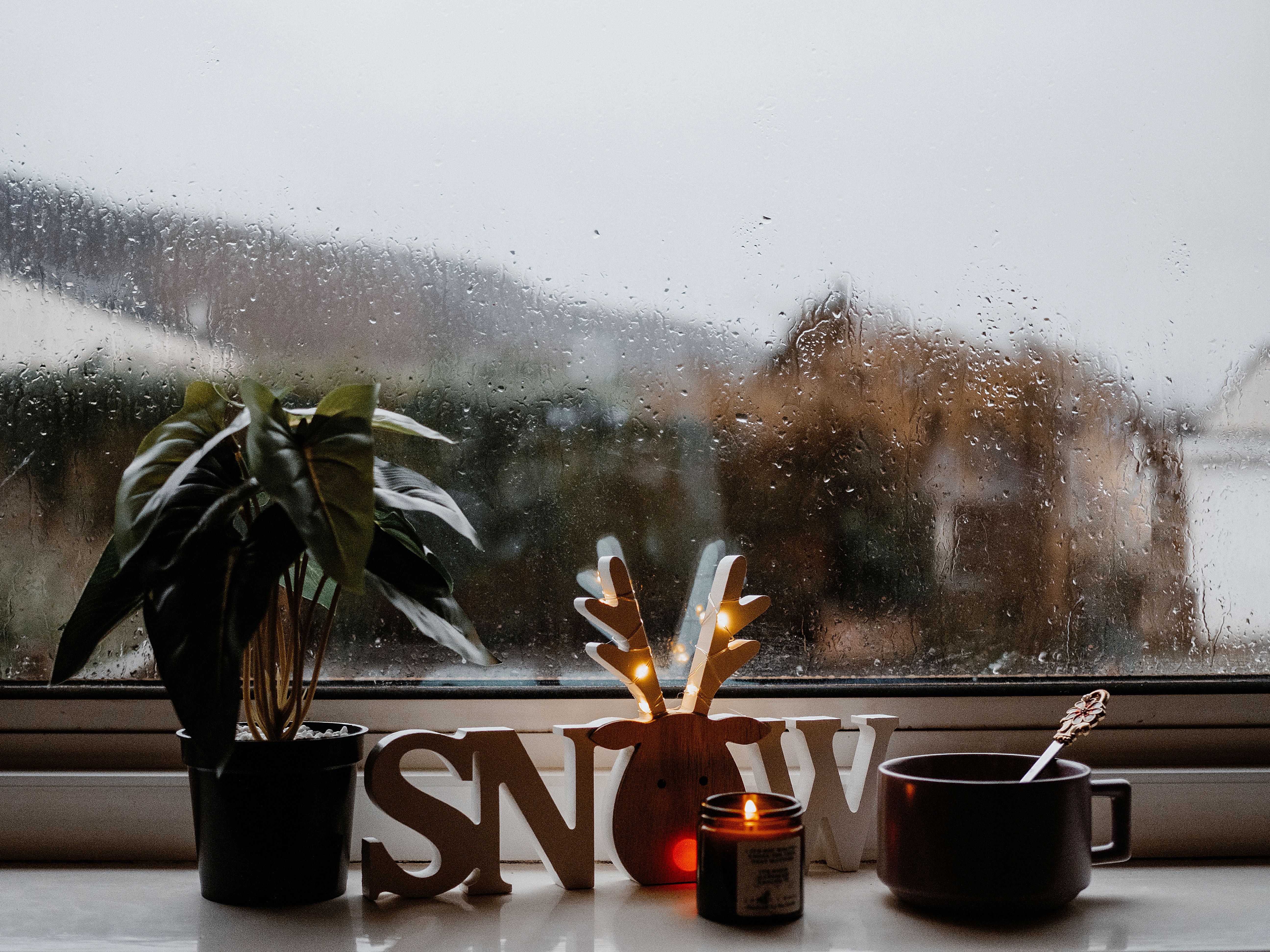 Warm and cozy winter scene with a candle, potted plant, and rainy window for a festive atmosphere.