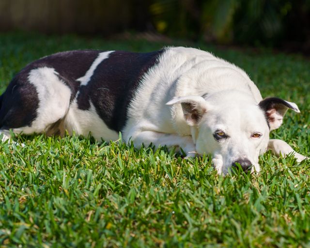 Photo by Rob Bach on Pexels Photo by Rob Bach on Pexels