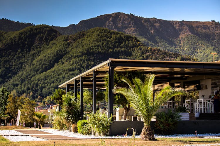 Cafe Terrace In Tropical Mountain Landscape