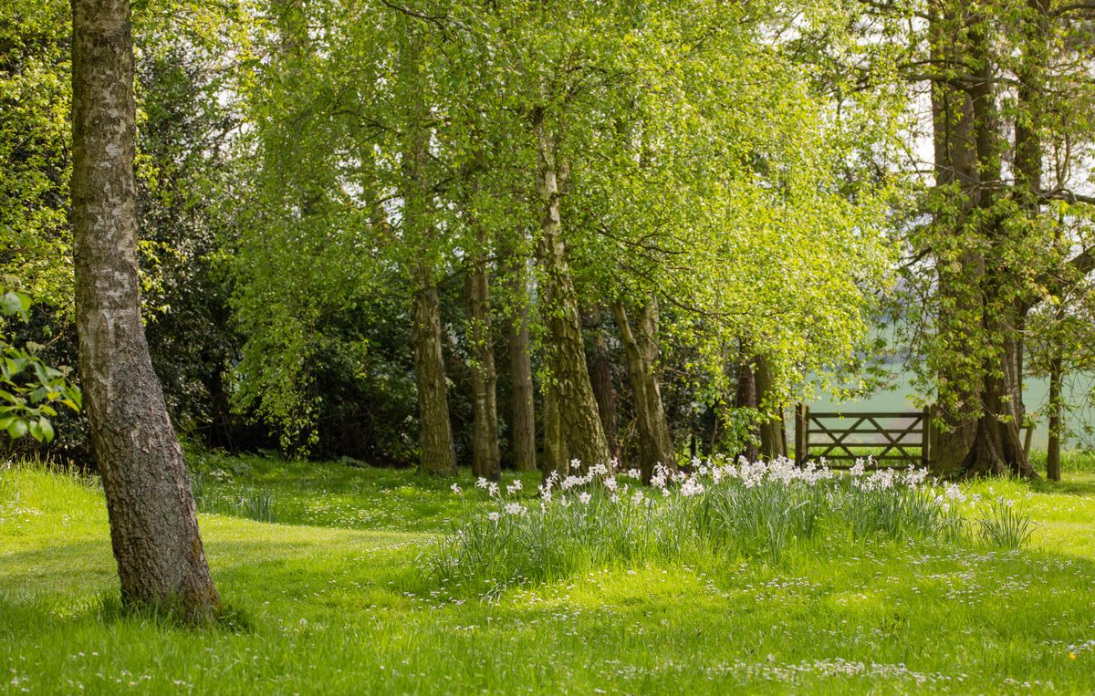 Seven Penny Meadow, Medomsley, County Durham