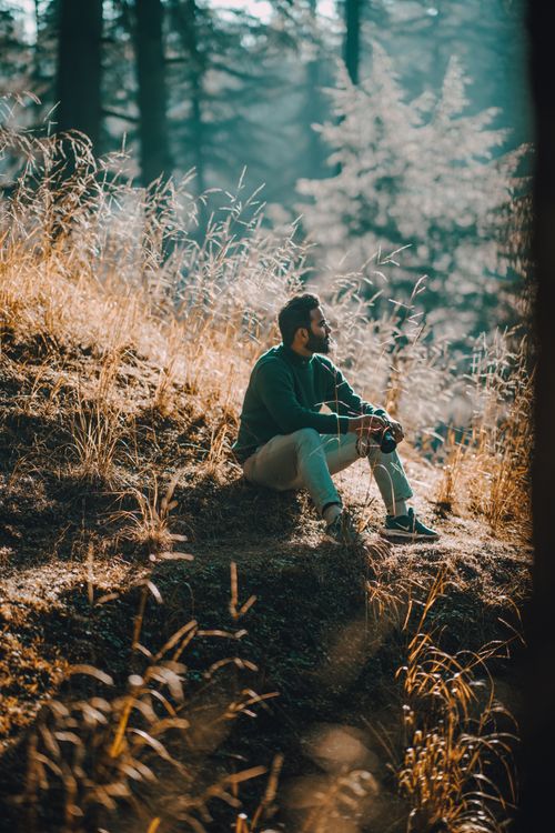 Free A man sitting contemplatively on a grassy hillside in a tranquil forest scene. Stock Photo
