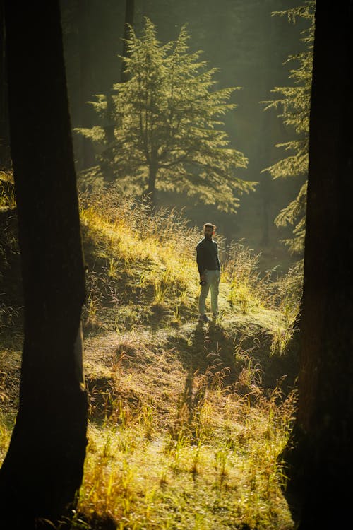 A Man Standing Beside Green Tree