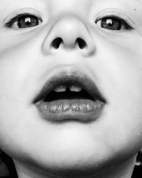 Darmowe zdjęcie z galerii z czarno-biały, niemowlę, nos