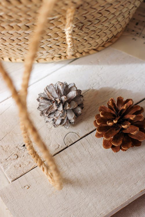 Pine Cones on Wooden Surface