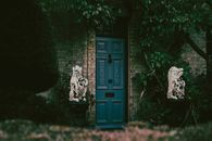Blue Wooden Door With White and Black Cat Figurine