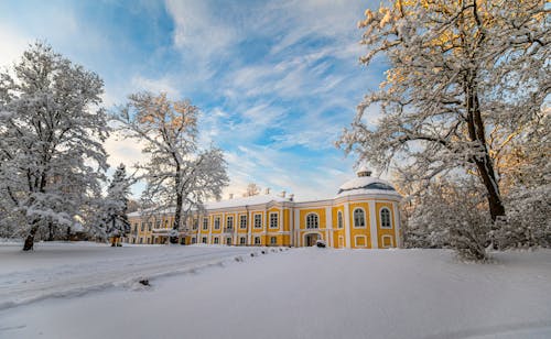 Základová fotografie zdarma na téma Alberta, architektura, auto