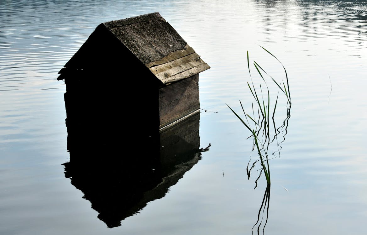 Fotos de stock gratuitas de agua, al aire libre, de madera