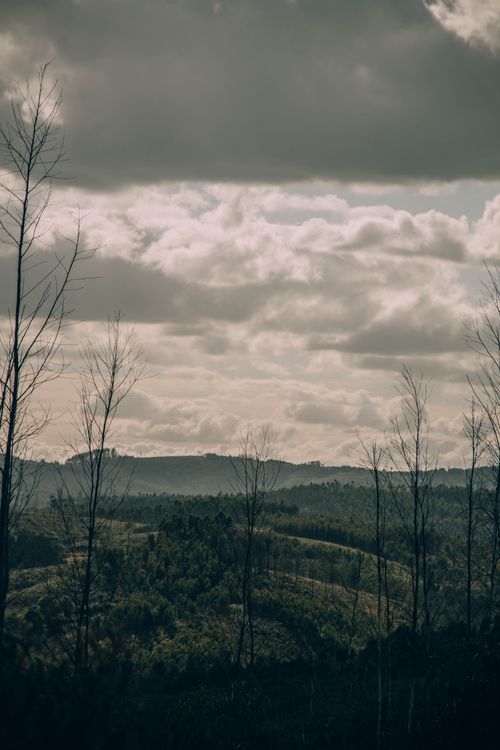 Free Breathtaking view of green hills and trees under a cloudy sky in Proença-a-Nova, Portugal. Stock Photo