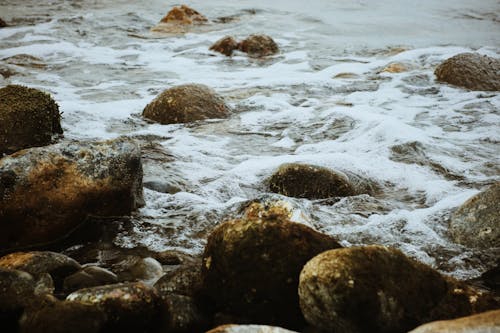 Kostnadsfria Kostnadsfri bild av hav, stora stenar, vatten Stock foto
