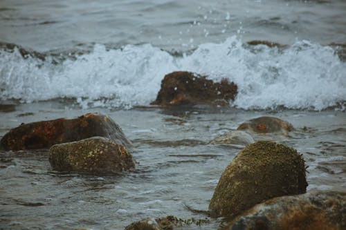 Kostnadsfria Kostnadsfri bild av hav, kraschar, små vågor Stock foto