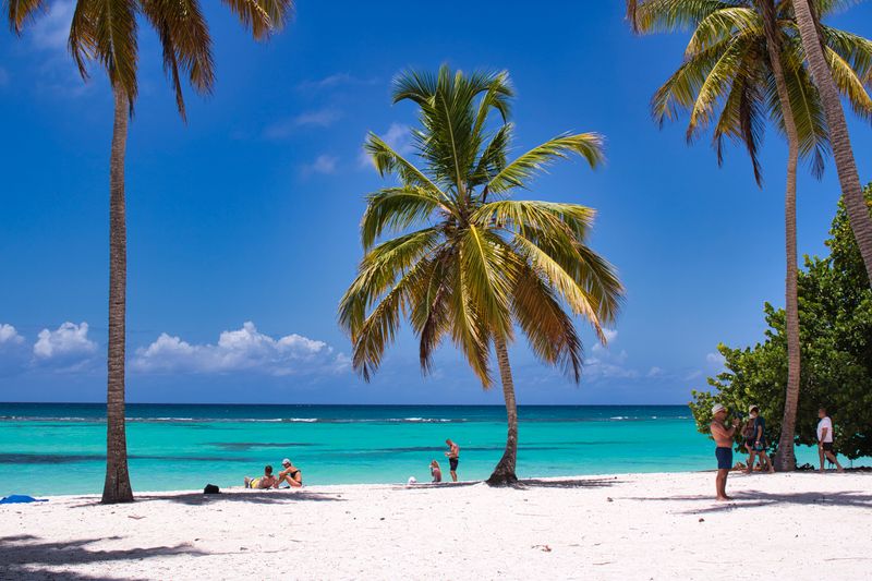 Familia disfrutando de una playa caribeña con palmeras en República Dominicana durante la temporada seca