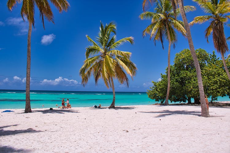 People Hanging Out On The Beach