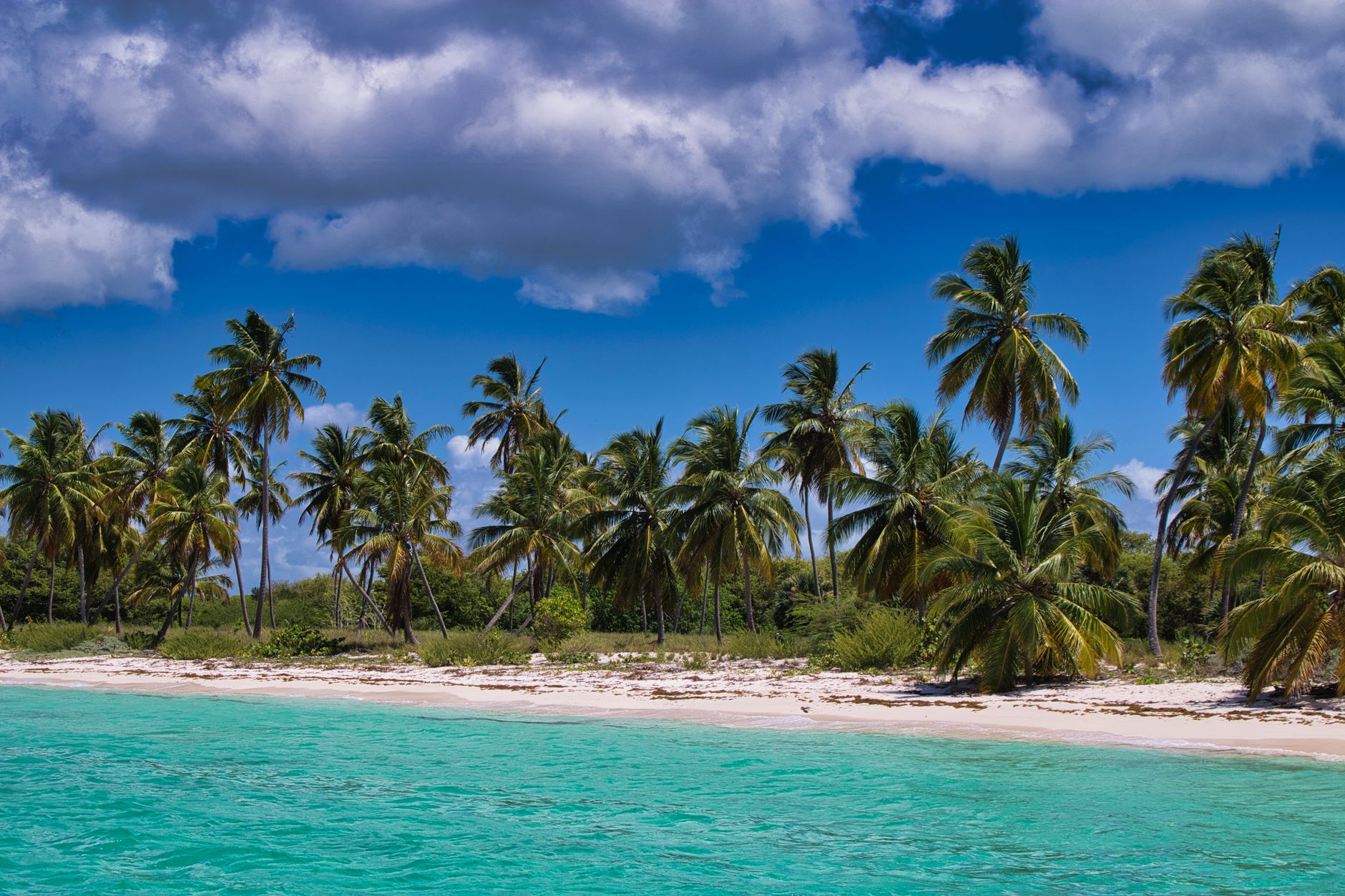 Stunning tropical beach with palm trees and turquoise waters under a vibrant sky.