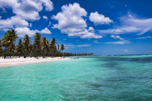 Бесплатное стоковое фото с голубое небо, карибский, море