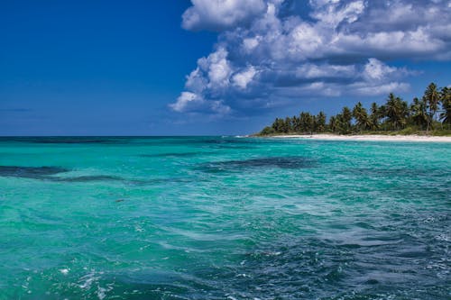 Green Trees on Island