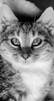 Image by Scott Schumacher