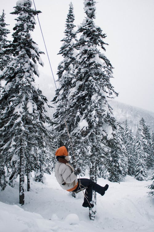 Person Riding a Swing Near Snow Covered Trees