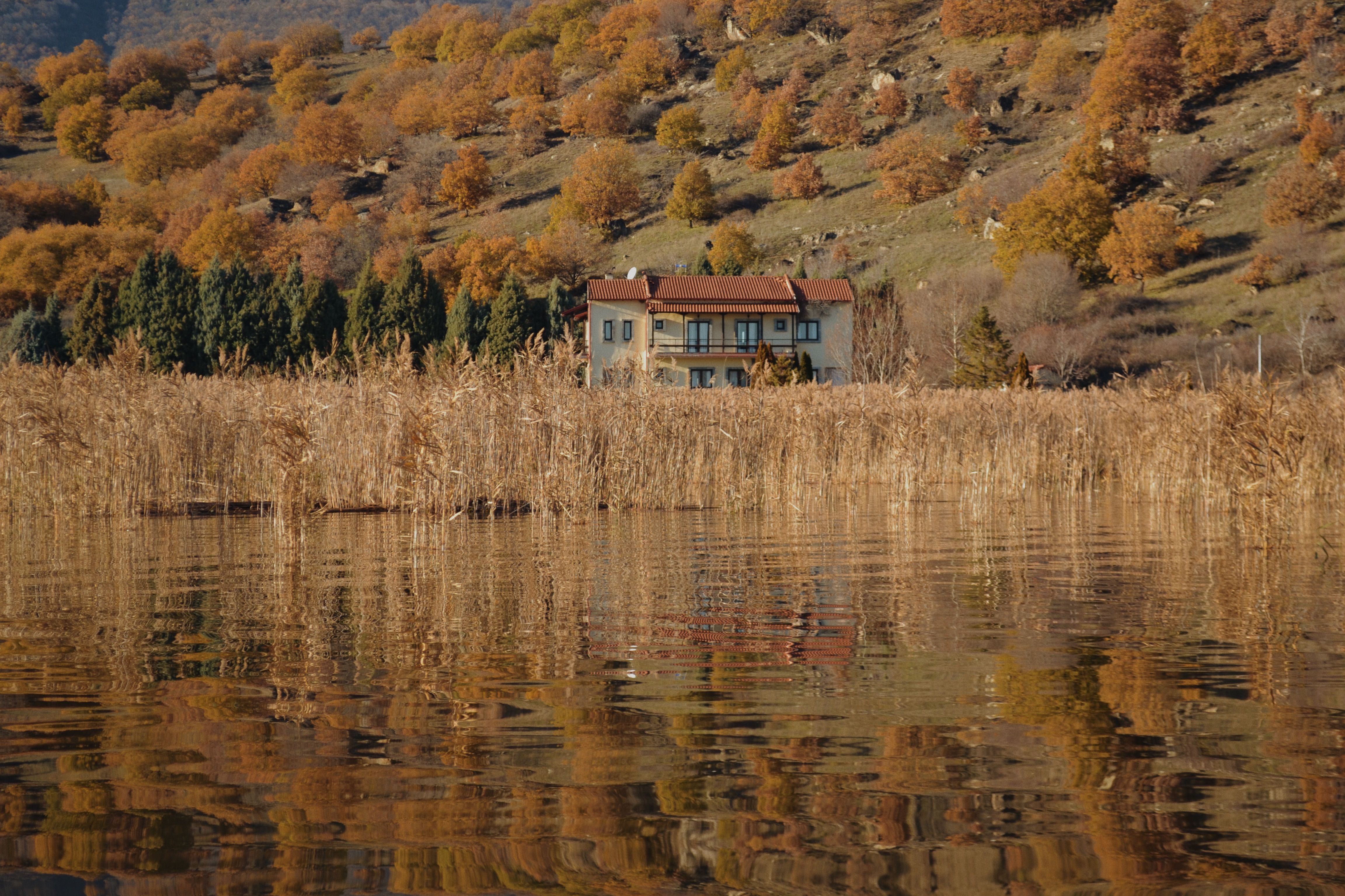 Serene lakeside house with autumn foliage in Florina, Greece.