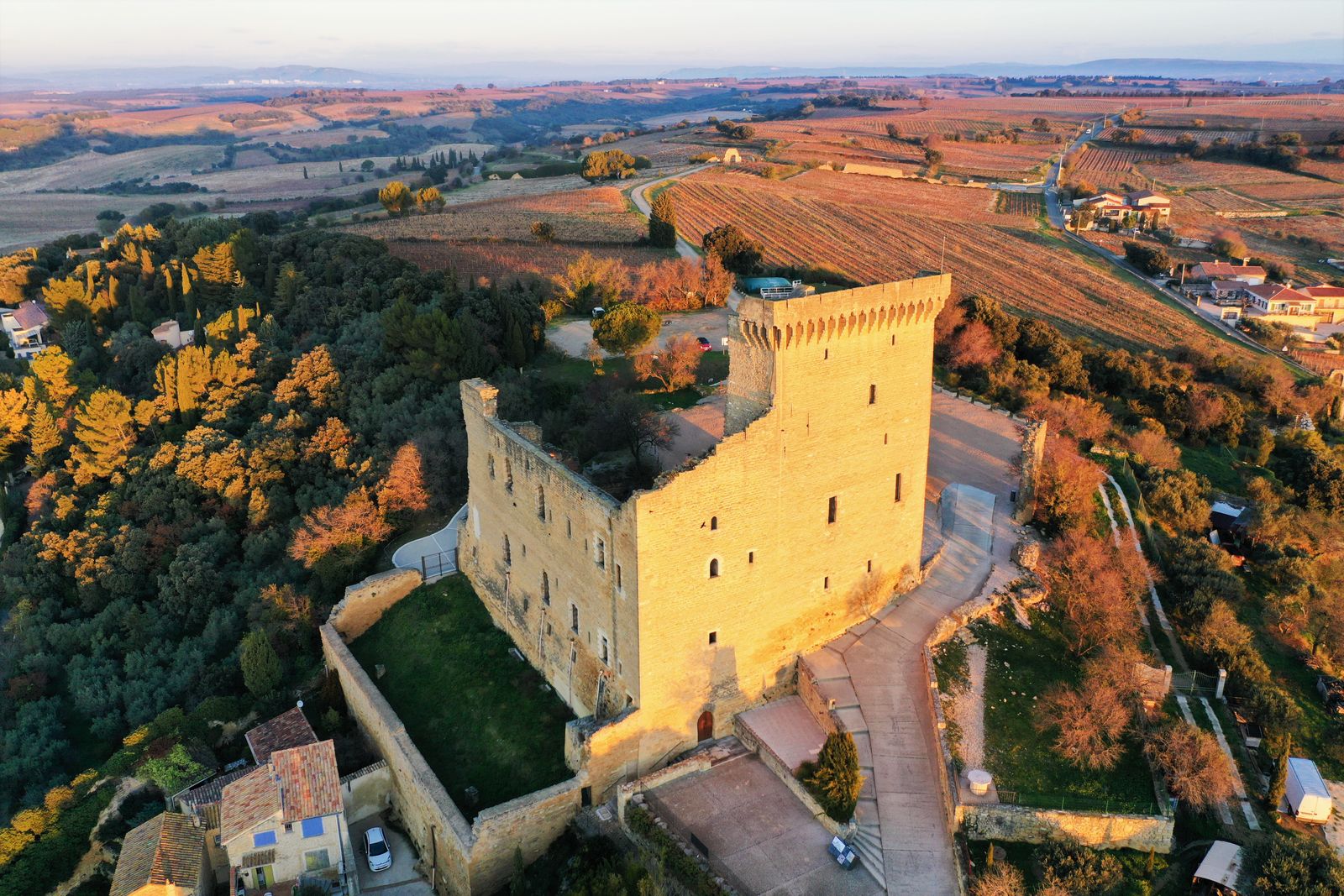 Wijngaarden en het kasteel van Châteauneuf-du-Pape