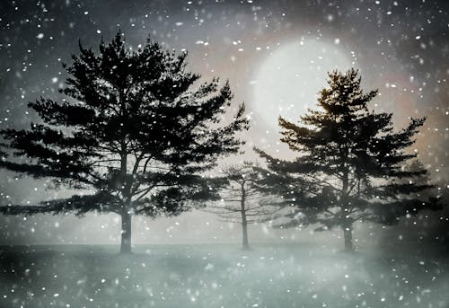Free stock photo of snowy wallpaper, winter background, winter night Stock Photo