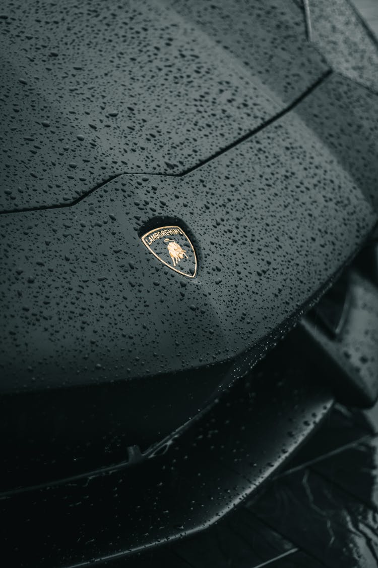 Close Up Shot Of A Lamborghini Emblem