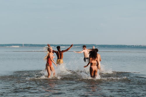 享受, 假期, 在水中玩 的 免费素材图片