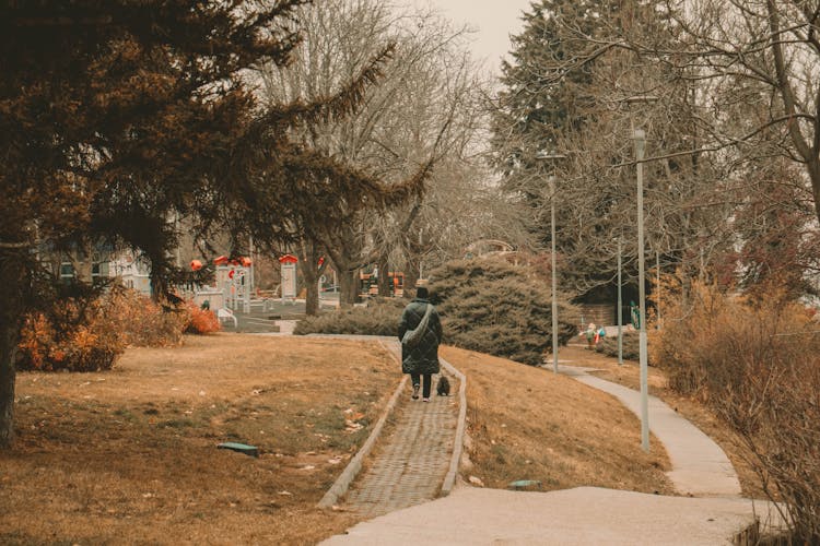 A Person Walking Together With A Dog