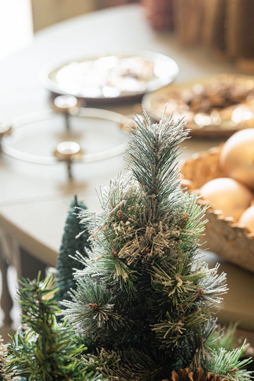 Selective Focus of a Christmas Tree