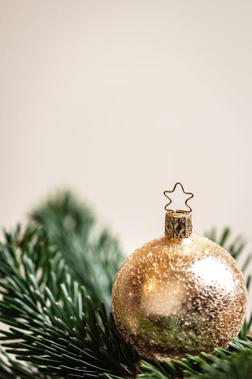 Gold Christmas Ball on Pine Tree 