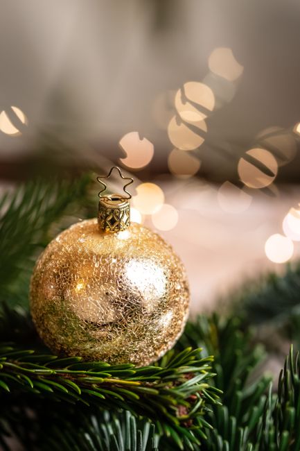 Close-up of a shiny gold Christmas ornament on a pine tree branch with festive bokeh lights.