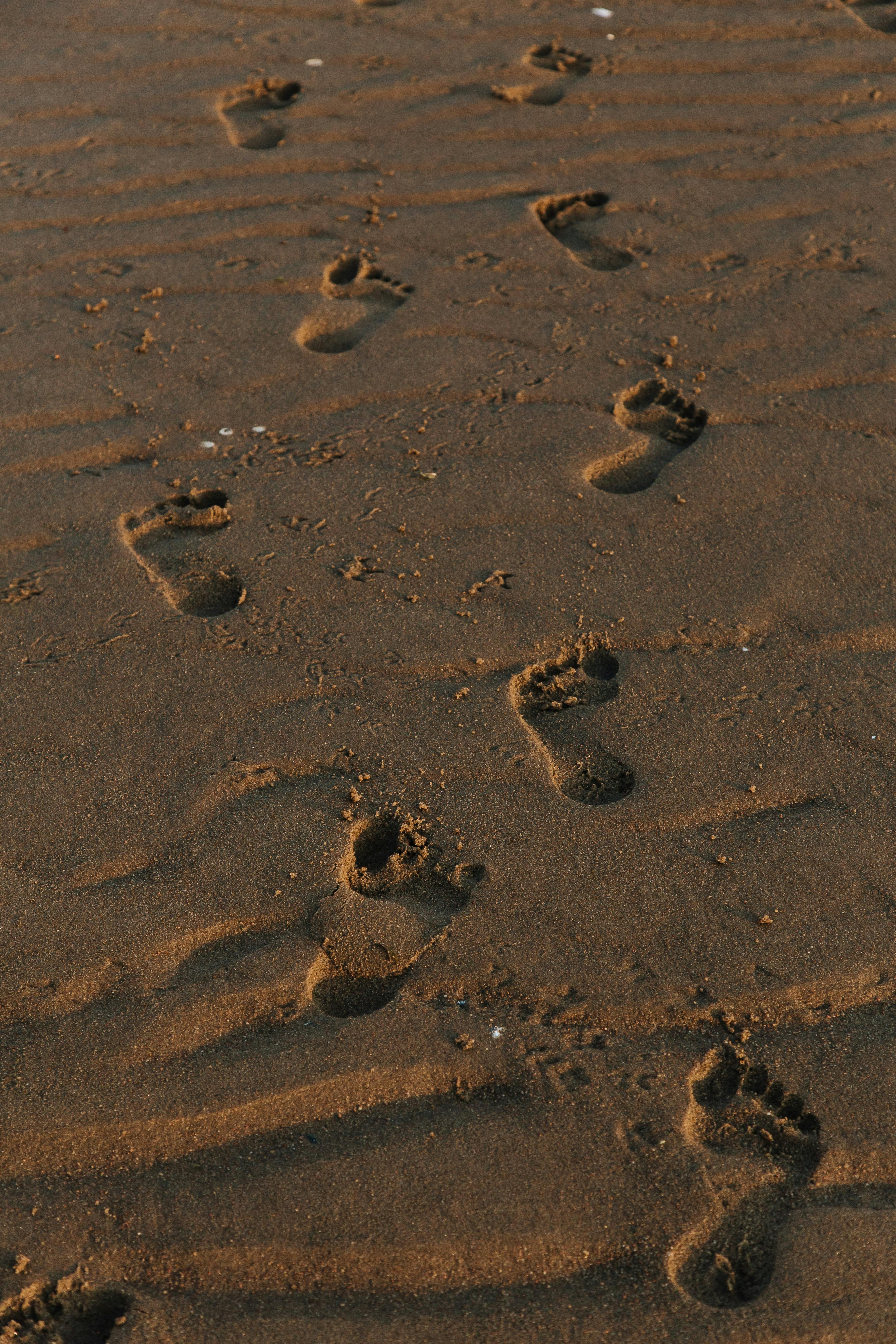 What happens if a bladder fistula is left untreated?