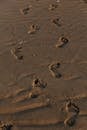 Footprints Left in Wet Sand