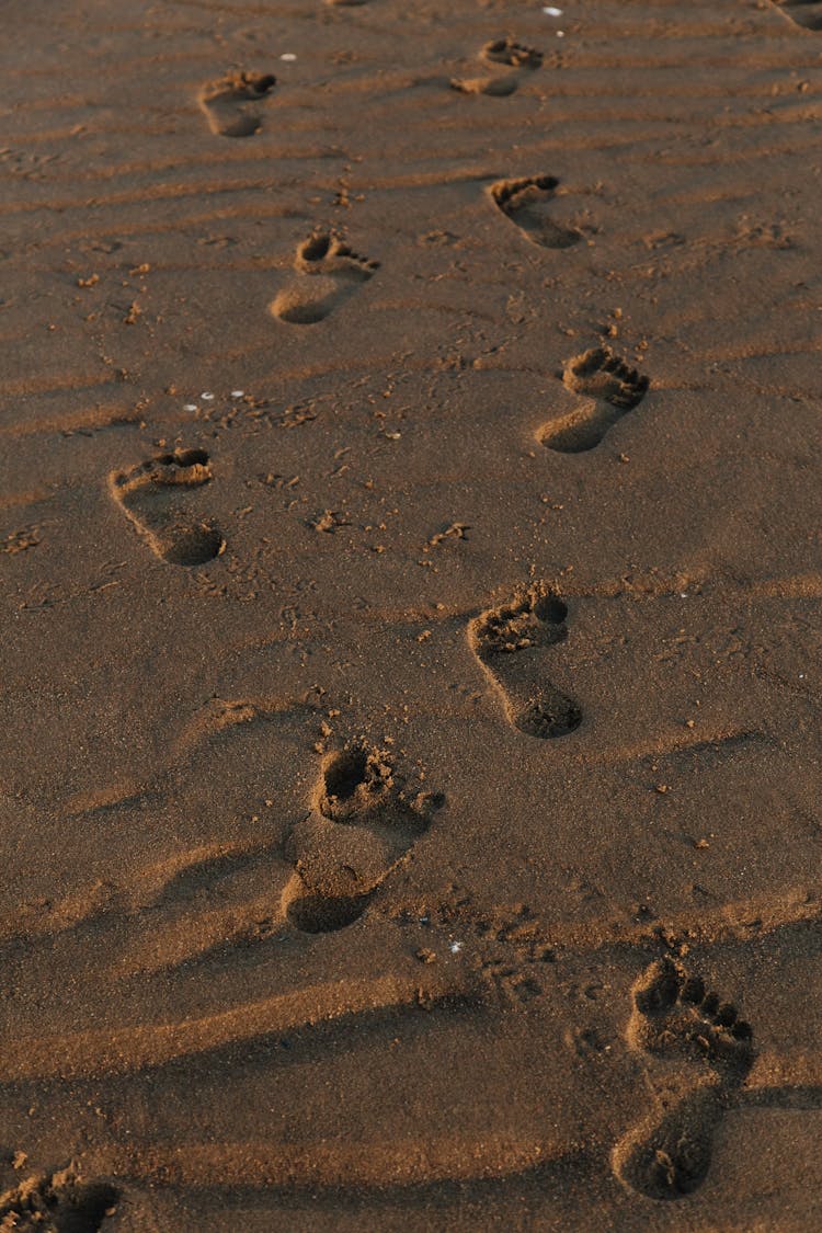 Footprints Left In Wet Sand