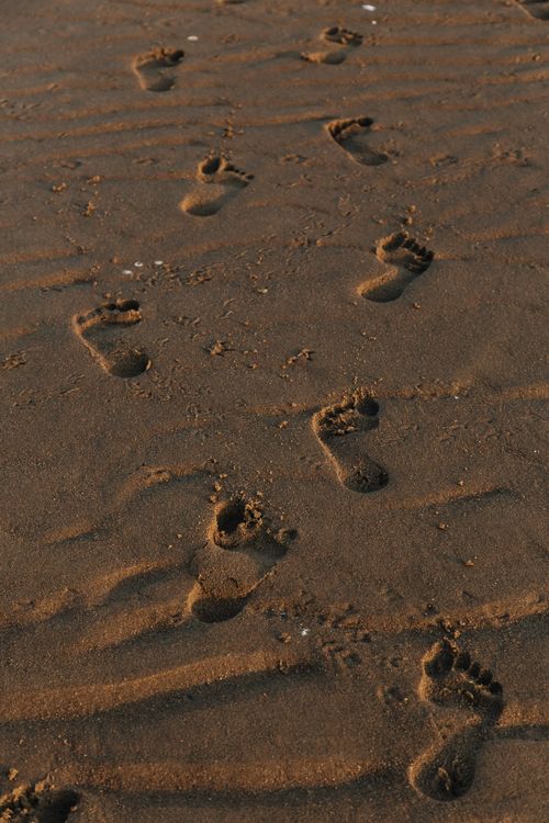 Free Footprints leading across wet sand at a beach, creating a serene and natural scene. Stock Photo