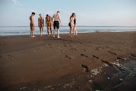 Diverse Group of People in Swimwear Looking for Something in Sandy Beach