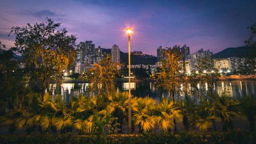 Free A scenic view of Kowloon skyline reflected in the water at dusk, framed by trees. Stock Photo
