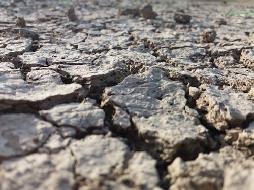 Free Close-up Photo of a Dry Cracked Ground Stock Photo