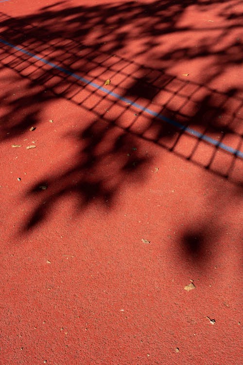 Shadow of Leaves on Red Floor