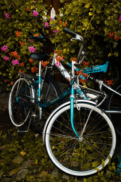 Free Blue bicycle surrounded by colorful blooms in an outdoor setting, capturing a serene Alsatian atmosphere Stock Photo